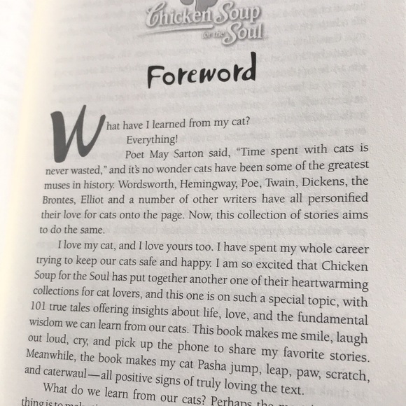 2/$10 Chicken Soup For The Soul | What I Learned From the Cat | 101 Stories - Picture 6 of 10